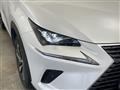 2019 Lexus NX