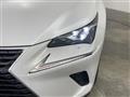 2019 Lexus NX