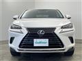 2019 Lexus NX