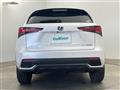 2019 Lexus NX