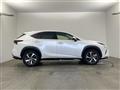 2019 Lexus NX