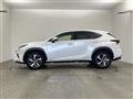 2019 Lexus NX