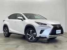 2019 Lexus NX