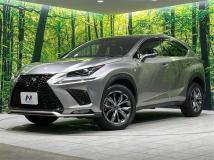 2019 Lexus NX