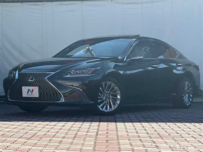 2019 Lexus ES