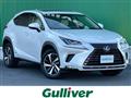 2018 Lexus NX