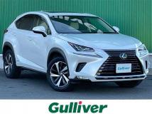 2018 Lexus NX
