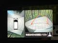 2023 Nissan DAYZ