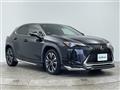 2022 Lexus UX