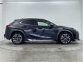 2022 Lexus UX