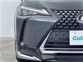 2022 Lexus UX