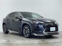 2022 Lexus UX
