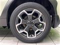 2013 Subaru Subaru Others