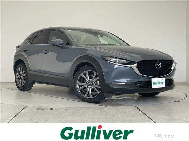 2019 Mazda CX-3