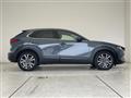 2019 Mazda CX-3