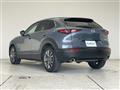 2019 Mazda CX-3