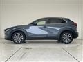 2019 Mazda CX-3