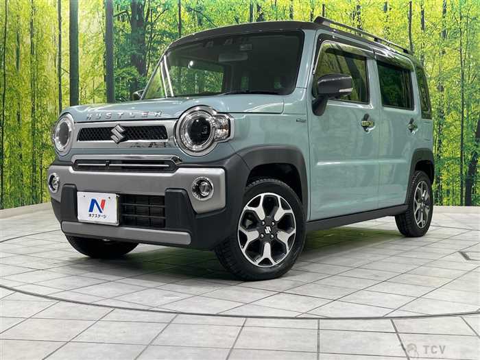 2021 Suzuki Hustler