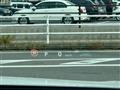 2024 Toyota Crown
