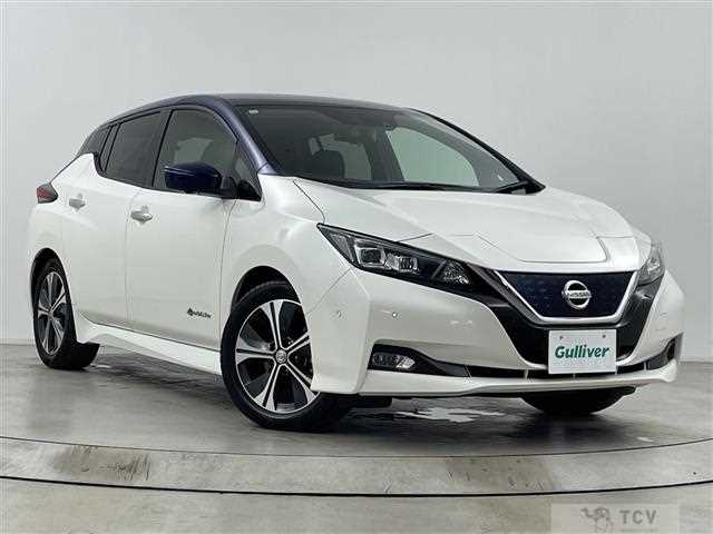 2018 Nissan Leaf
