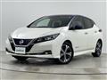 2018 Nissan Leaf