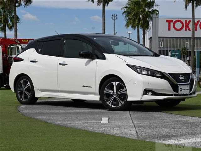 2019 Nissan Leaf