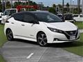 2019 Nissan Leaf
