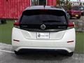 2019 Nissan Leaf