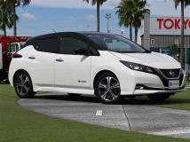 2019 Nissan Leaf