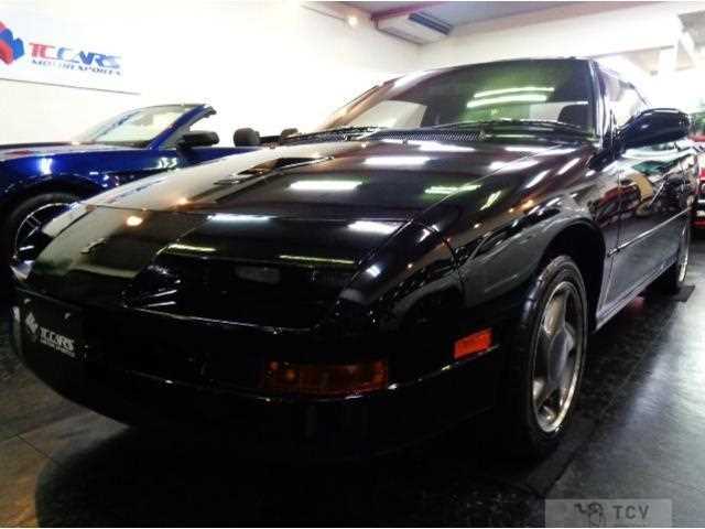 1991 Isuzu Pa Nero