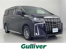 2019 Toyota Alphard Hybrid