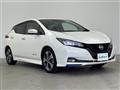 2021 Nissan Leaf