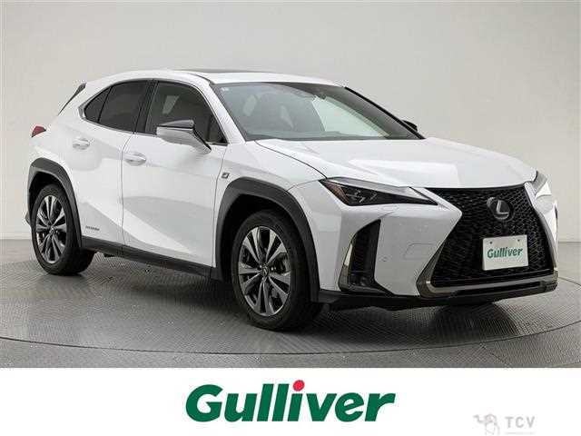 2019 Lexus UX