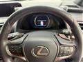 2019 Lexus UX