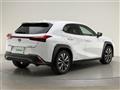 2019 Lexus UX