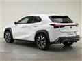 2019 Lexus UX