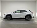 2019 Lexus UX