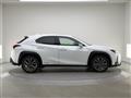 2019 Lexus UX