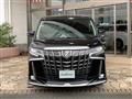 2020 Toyota Alphard