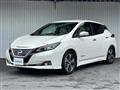 2018 Nissan Leaf