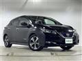 2019 Nissan Leaf