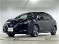 2019 Nissan Leaf