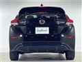 2019 Nissan Leaf