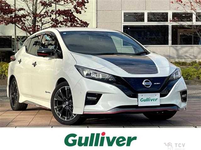 2019 Nissan Leaf