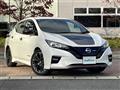 2019 Nissan Leaf
