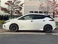 2019 Nissan Leaf
