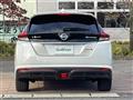 2019 Nissan Leaf