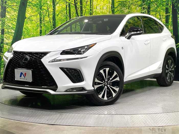 2019 Lexus NX