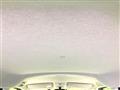 2020 Toyota Roomy