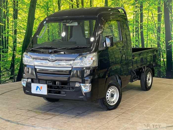 2019 Daihatsu Hijet Truck